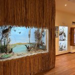 Foto p.g.c. CEA Niscemi 